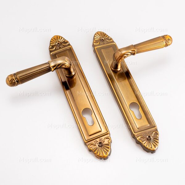 Brushed Brass Door Handles 85195 794 4