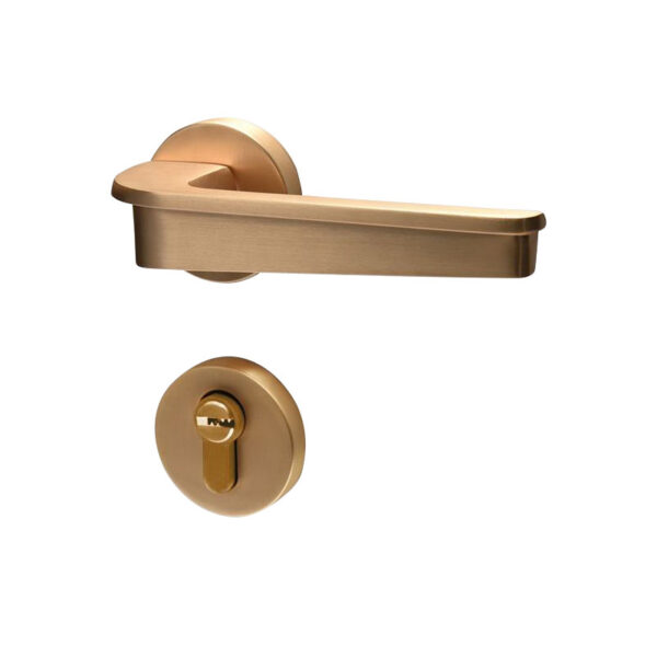 bathroom lever door handles