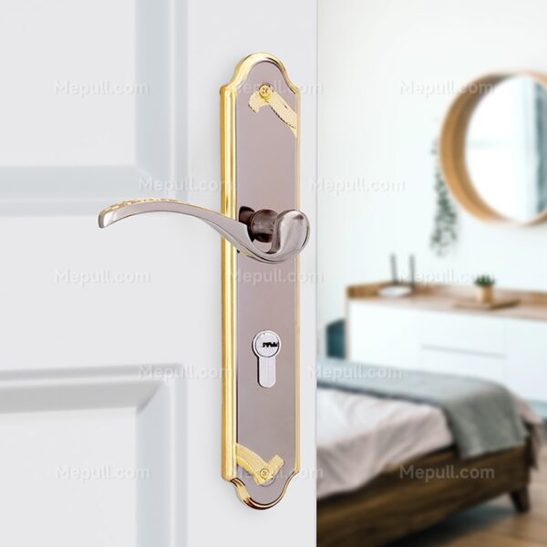 heap Gold Door Handle With Backplate 85163 775 2