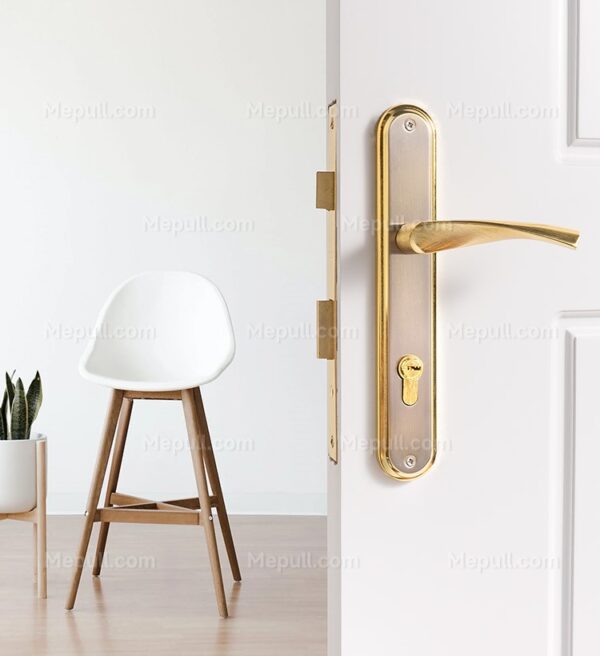 Bathroom Door Handles On Plate 859405 6726 2